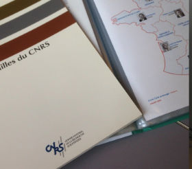 element.illustration_alt